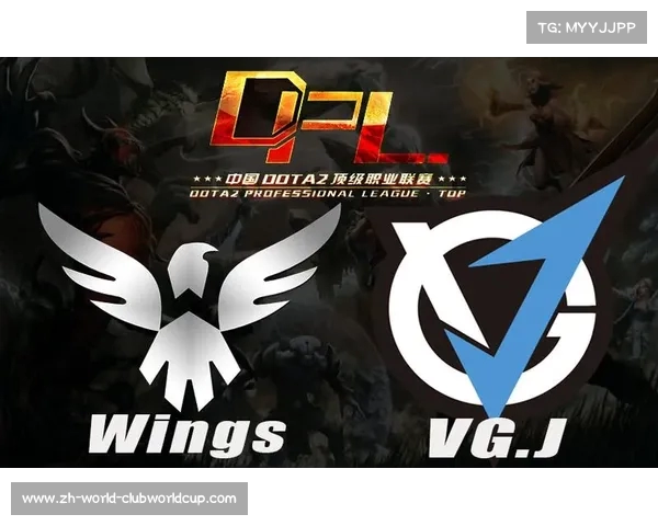 TI2 IG阵容解读与Wings战队终身禁赛背后的真相分析 TI2 IG阵容解读与Wings战队终身禁赛背后的真相分析
